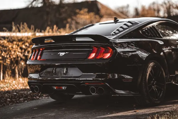 Casino Royal Valley Android/iOS Forrit